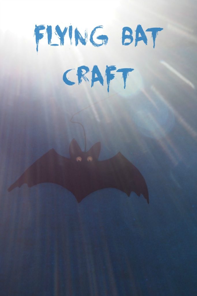 flying bat craft