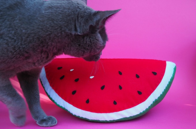 watermelon softie